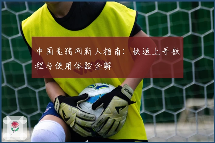 中国竞猜网新人指南：快速上手教程与使用体验全解