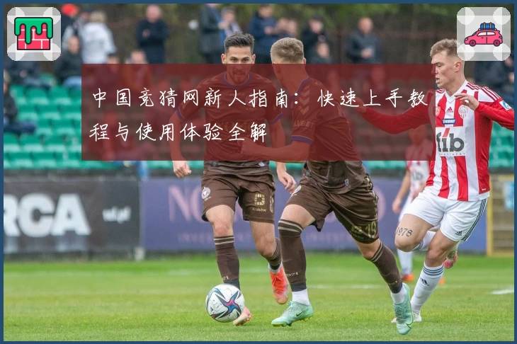 中国竞猜网新人指南：快速上手教程与使用体验全解